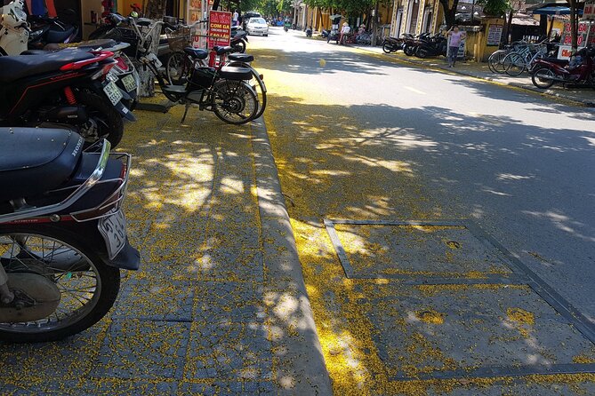 Hoi An town private walking tour with boat trip - A 20-minute boat ride on the Hoai River