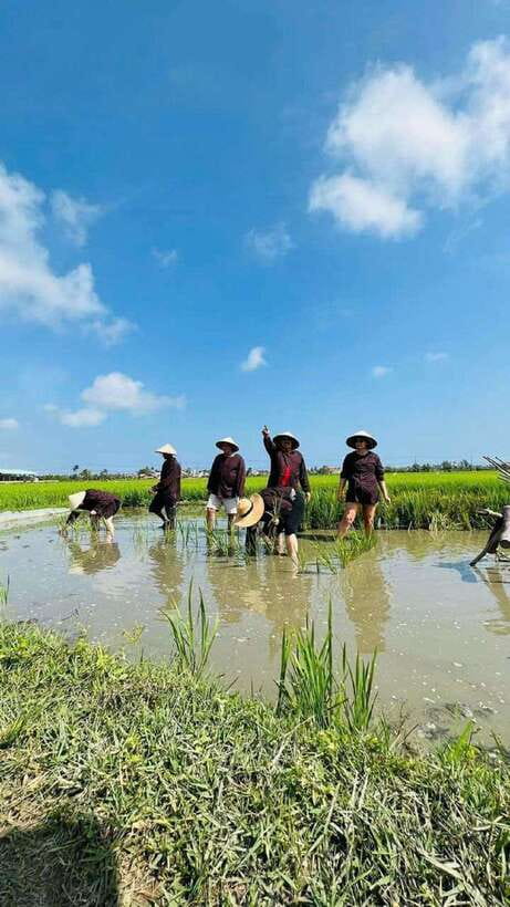 Hoi An Wet Rice Farming Tour-Basket Boat Tour Fishing-Lunch - What this Hoi An farm and basket boat tour is really like
