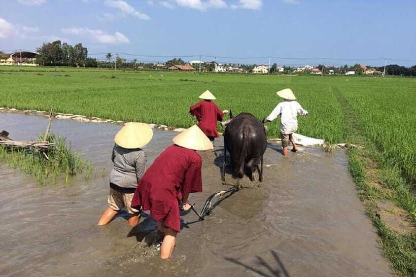 Hoi An Wet Rice Farming Tour-Basket Boat Tour Fishing-Lunch - How long should you allow?