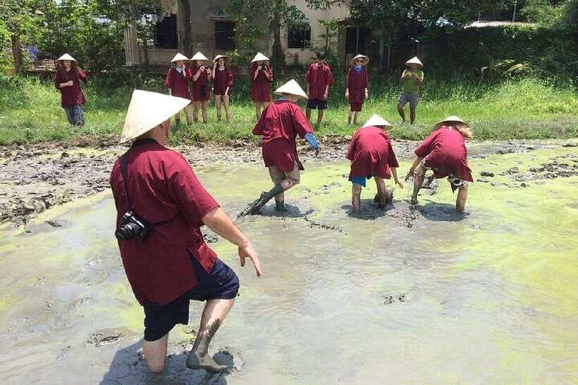 Hoi An Wet Rice Farming Tour-Basket Boat Tour Fishing-Lunch - Starting in the wet rice fields