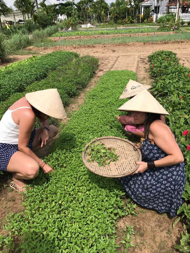 Hoian/Da Nang: Fishing, basket riding and cooking class - Key points to know before booking