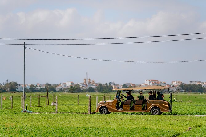 HoiAnGO Experience Local Life: Countryside by Electric Car - Cua Dai Bridge: a wide final view