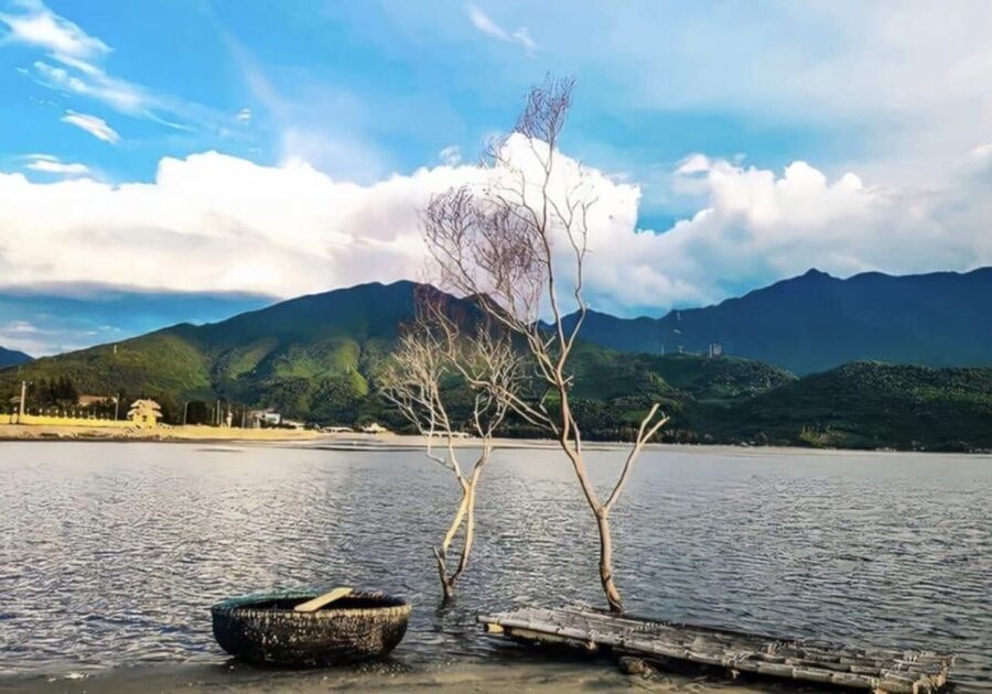 Hue City Tour Full Day - Depart from Da Nang / Hoi An - Who will enjoy this Hue day trip most?