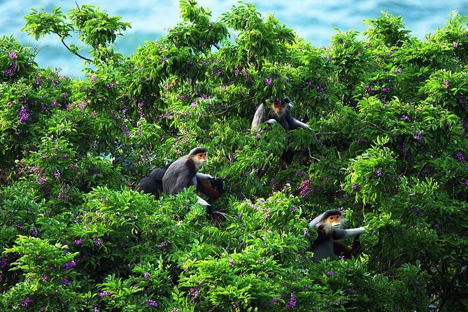 Marble mountain, Am Phu cave and Monkey mountains group tour - Climbing through Marble Mountains