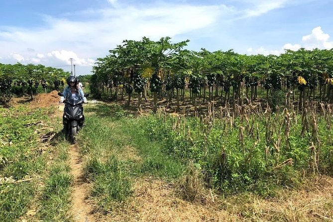 My Son Adventures Loop (1 ngày -150km) - Lunch, price, and what you receive