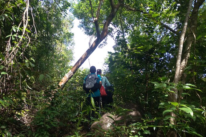 My Son sanctuary and mountain trekking - Breakfast, coffee, and a change of pace