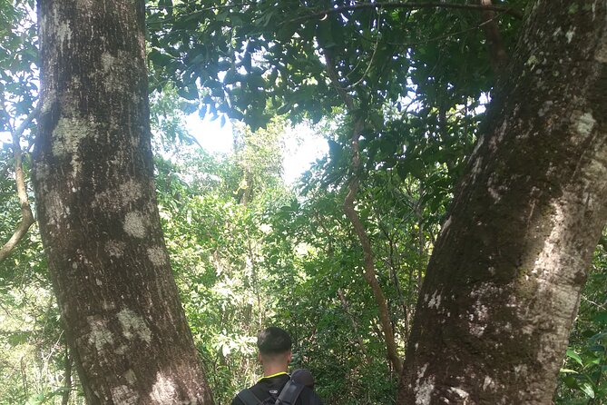 My Son sanctuary and mountain trekking - Following forest paths and quiet streams