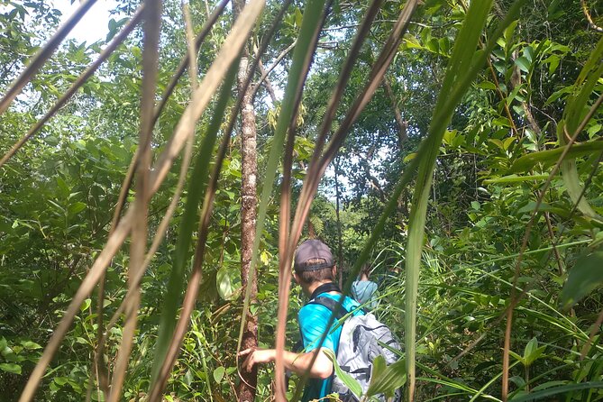 My Son sanctuary and mountain trekking - Who will enjoy this outing most