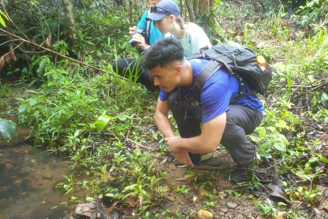 My Son sanctuary and mountain trekking - Seeing My Son at about 6:30 am