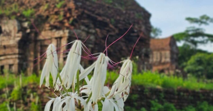 My Son Sanctuary Morning/Afternoon with Boat Trip and Banhmi - The Cham show adds a short cultural pause