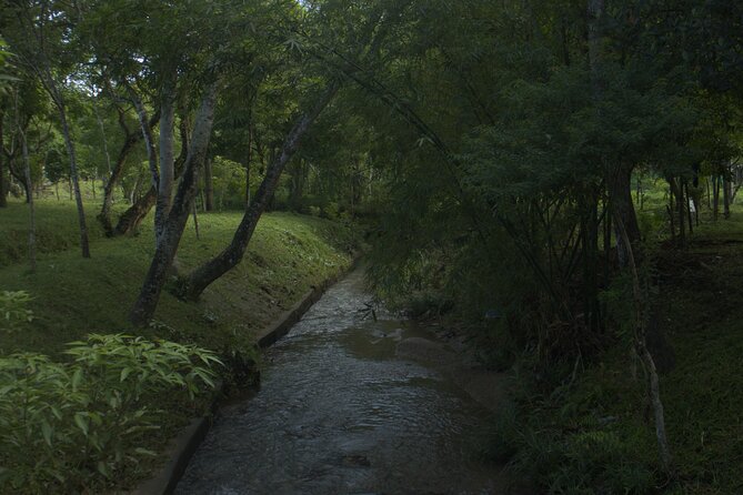 My Son Sanctuary Private Tour - Early Morning or Half Day Tour - What to notice while you walk