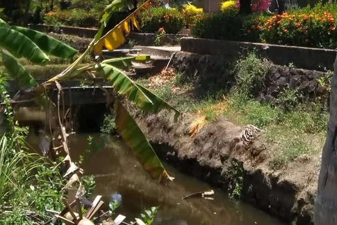 Private Day Trip To Visit MY LAI MASSACRE from Hoi an or Da Nang City - Is $102.57 a fair price?
