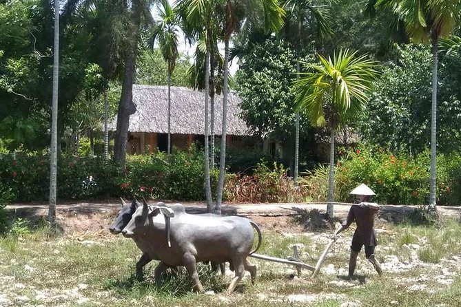 Private Day Trip To Visit MY LAI MASSACRE from Hoi an or Da Nang City - Who will get the most from this day
