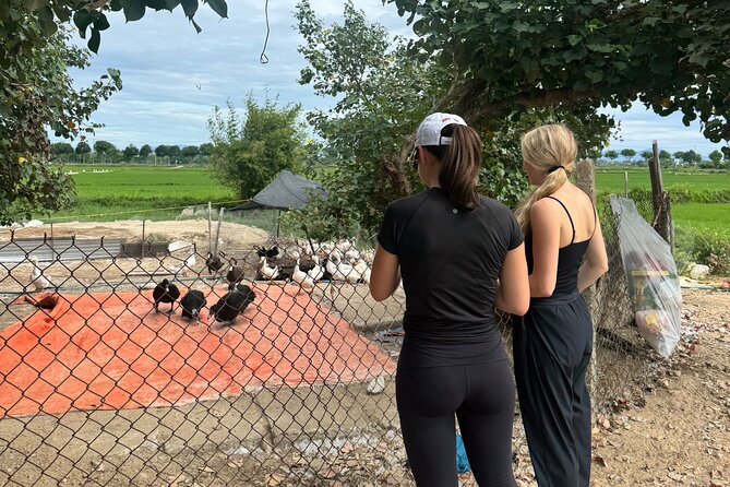Private Half-Day Hoi An Tour for Families, Couples & Small Groups - A Private Pace for Families and Couples