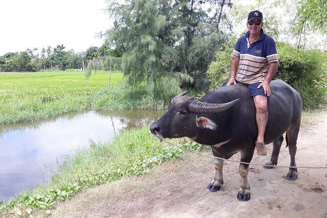 Private Hoi An Countryside: Biking, Basket boat, buffalo, foods - Cycling from Cam Thanh to Tra Que