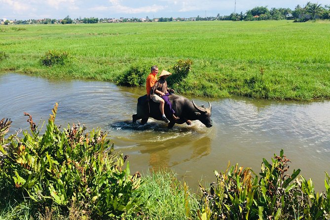 Riding Water Buffalo and Basket Boat Hoi An Private Bike Tour - Meeting a water buffalo in the farming area