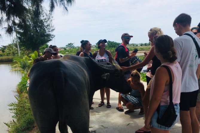 Riding Water Buffalo and Basket Boat Hoi An Private Bike Tour - Bay Mau Coconut Forest by round basket boat