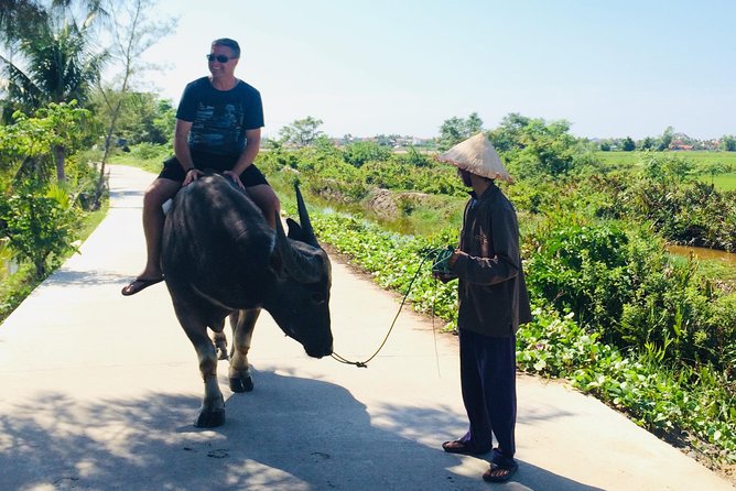 Riding Water Buffalo and Basket Boat Hoi An Private Bike Tour - Is $29 a fair price?