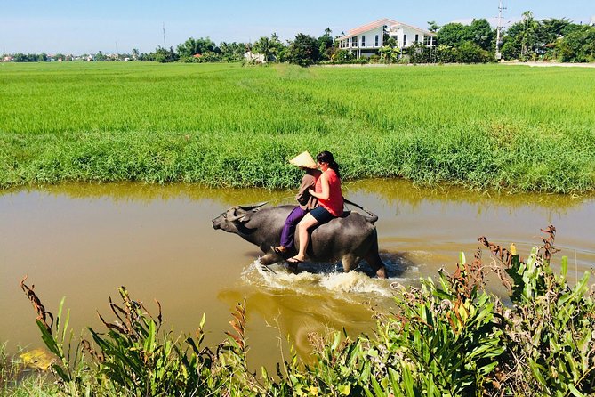 Riding Water Buffalo and Basket Boat Hoi An Private Bike Tour - Cam Chau: open fields and village skills