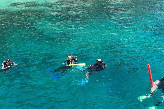 Scuba Diving Tour in Cham Island for certified divers or Beginners - Why the Cham Islands make a good underwater day trip