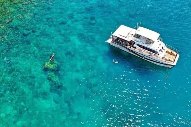 Scuba Diving Tour in Cham Island for certified divers or Beginners - The guide team and what support to expect