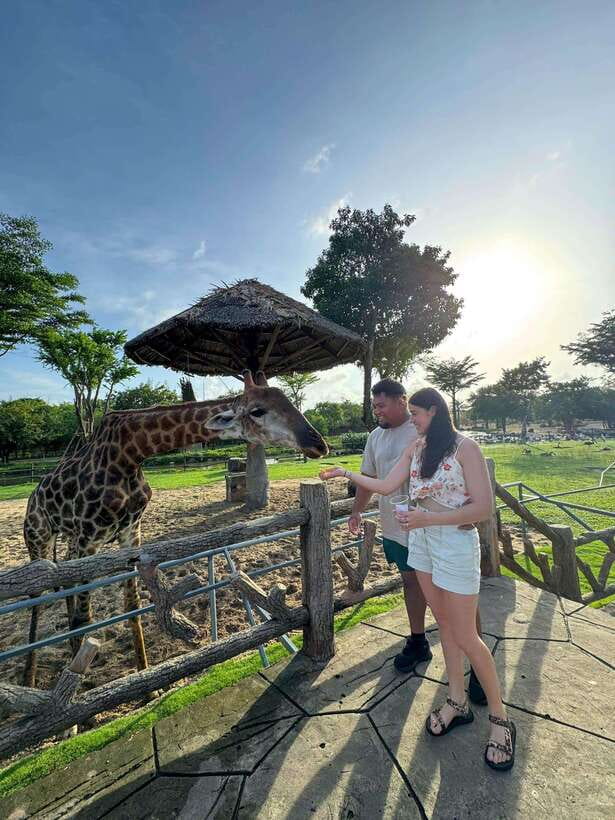 South Hoi An River Safari With Candle-lit Beach Dinner - Private groups, small groups, and timing