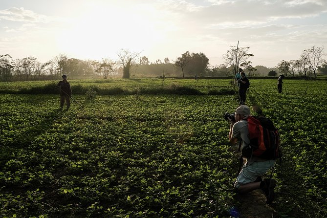Sunset photo tour with the farmers - Timing, weather, and small practical cautions