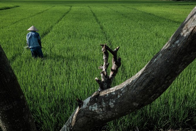 Sunset photo tour with the farmers - The village relationship makes a difference