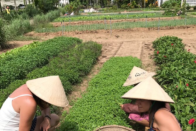 Tra Que Village Cycling And Farming - Why the guide matters