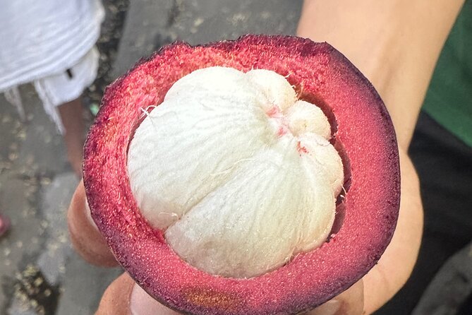 Vegan Food Tour - Untold Stories of Hoi An - The food lineup: from banh mi to black sesame soup