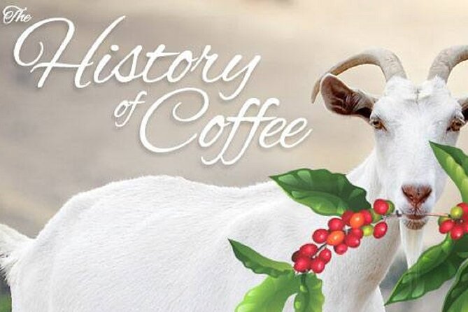 Vietnamese Culture and Coffee Making Class - Practical booking advice for Hoi An